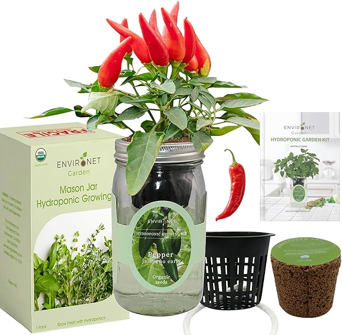 Hydroponic Pepper Growing Kit, Self-Watering Mason Jar Vegetable Starter Kit Indoor, Grow Peppers from Organic Seeds (Jalapeño Early Pepper)