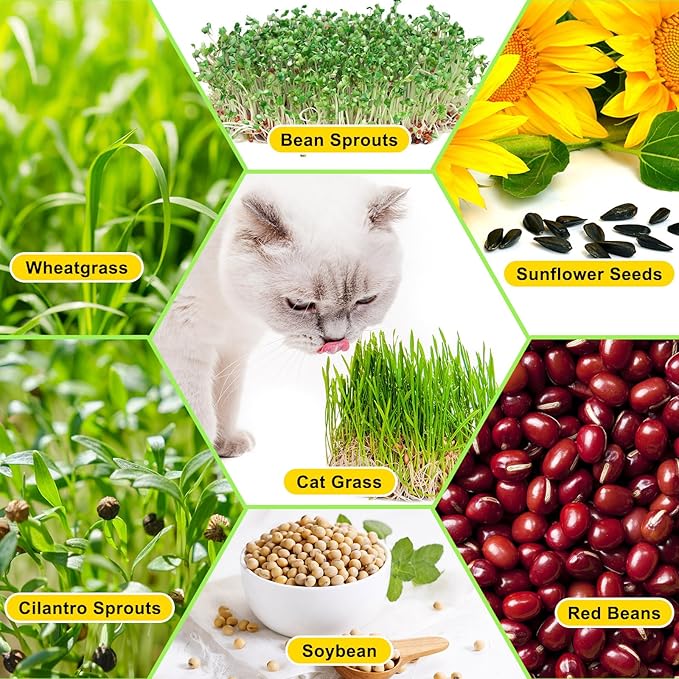 Menkxi 5 Layers Seed Sprout Tray Shelf Microgreens Growing Kit 10 Pcs Healthy Wheatgrass Seeds Grower with Drain Holes and 60 Sheets Germinating Paper for Garden Home Office
