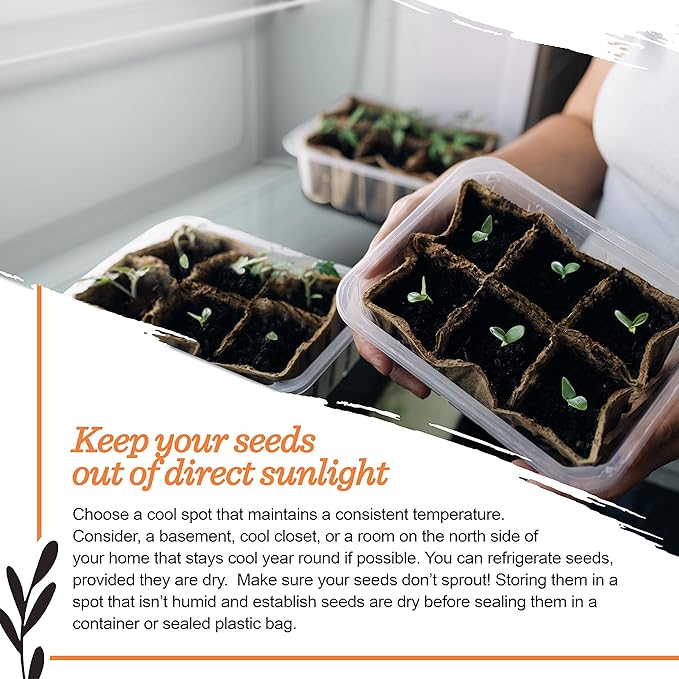 Seed Starter Kit – Harvest Garden | Non-GMO | Heirloom Seed Packets | Natural Wood Row Markers | Sustainable Healthy Living | Thanksgiving Garden | Fall Harvest