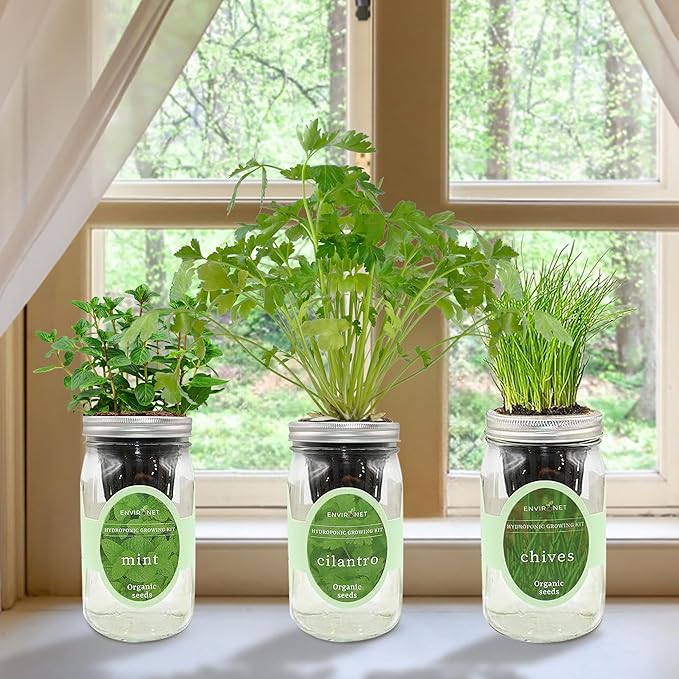 Hydroponic Herb Growing Kit Set, Self-Watering Mason Jar Herb Garden Starter Kit Indoor, New Christmas Gift for Mom (Cilantro, Mint & Chives)