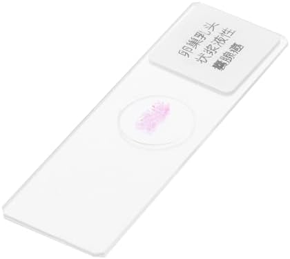 Prepared Microscope Slide Glass Specimen for Biology Observation by MAGICLULU