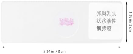 Prepared Microscope Slide Glass Specimen for Biology Observation - Image 2