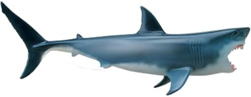 4D Shark Anatomy Model, 20 Detachable Organs and Body Parts Biology Model for Study Display Teaching Medical Model - Image 5