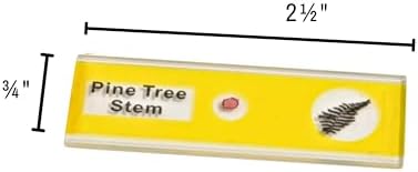 Prepared Microscope Slides for Kids – 12 Plastic Plant Specimens with Labels & Images – Safe, Durable Biology Science Kit for Students Ages 8+ - Image 3