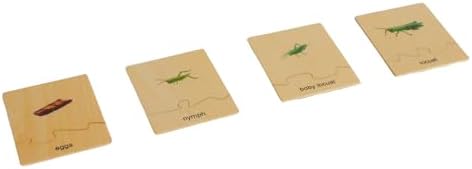 ancona Life Cycle- Locust, English Monolingual, Montessori Preschool Memory Matching Game Box Set with Animal Figurines & Matching Puzzle Cards, Early Education Toy - Image 6