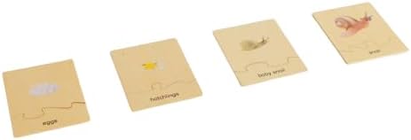 ancona Life Cycle- Snail, English Monolingual, Montessori Preschool Memory Matching Game Box Set with Animal Figurines & Matching Puzzle Cards, Early Education Toy - Image 6