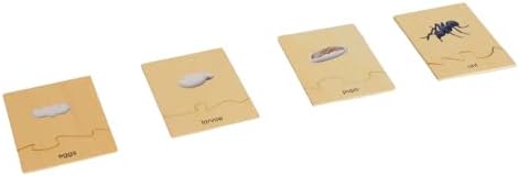 ancona Life Cycle- Ant, English Monolingual, Montessori Preschool Memory Matching Game Box Set with Animal Figurines & Matching Puzzle Cards, Early Education Toy - Image 6