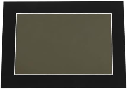 Magnetic Viewing Film,6X4 Inch Green Magnetic Field Display Film,Magnetic Flux Display, Magnetic Field Detector,Reusable by ALFYRCFT