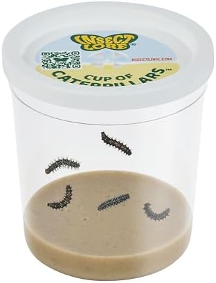 Insect Lore Cup of Caterpillars Basic – 5 Live Painted Lady Caterpillars with Food – Refill Kit for Butterfly Garden Habitat – STEM Science Activity for Kids & Classrooms by InsectLore