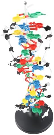 banapoy 3D DNA Model, Educational DNA Structure Double Molecular DeoxyriboNucleic Model, Biological Science Popularization Teaching for School Lab - Image 6