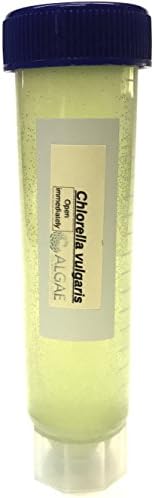 Algae Research Supply Algae Culture Chlorella Vulgaris, Perfect for School Science Fairs/Projects, Experiments & Classrooms (50mL) by Algae+Research+and+Supply