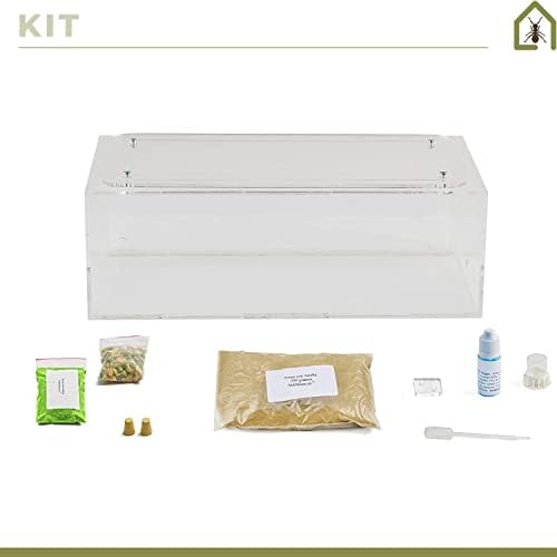 AntHouse - Natural Sand Ant Farm | Acrylic Big Starter Kit | Educative Ant Hill | 11.81 x 5.91 x 3.94 in - Image 2