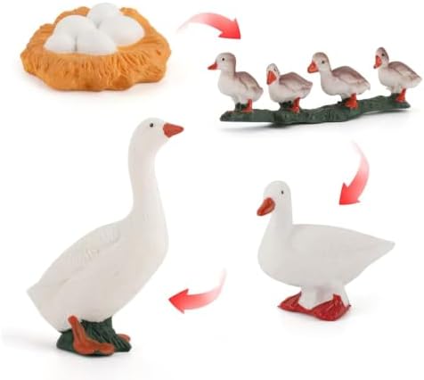 Montessori Life Cycle Animal Figurines Learning & Education Toys, Plastic Insect Life Cycle Toys, Preschool Learning Activities (Hen Goose Duck) - Image 3