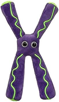 GIANT MICROBES Chromosome Plush, Genetics Gift, DNA Gifts, Genealogy, Ancestry Gift, Biology Plushies, Genetic Counselor, Forensic Science Gifts, Biology Models by GIANTmicrobes