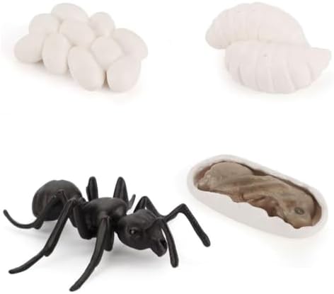 Montessori Animal Life Cycle Figurines by Unknown