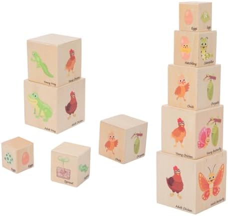 Wooden Life Cycle Nesting Blocks, Montessori Preschool Learning Toy by YunHeXinQiaoToysFactory