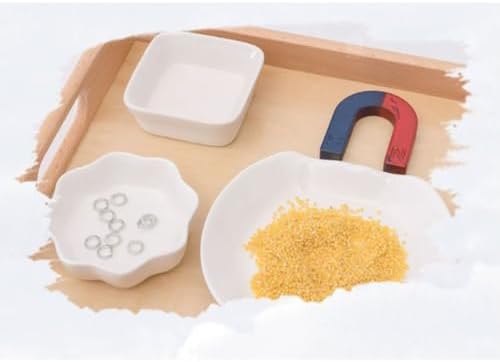 Montessori Magnet Separation Exploration Work Tray Set - Image 3