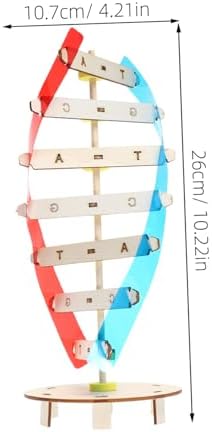DIY DNA Double Helix Model Science Kit for Kids Students - Image 2