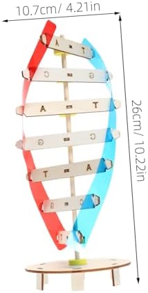 DIY DNA Double Helix Model Science Teaching Instrument for Kids - Image 2