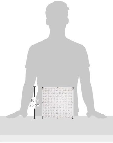 Eisco Labs Magnetic Field Demonstration Plate, Large - Image 2