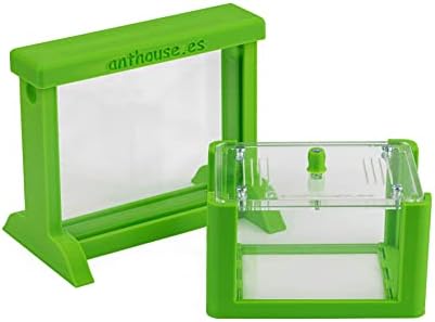 Anthouse - Basic Natural Sand Ant Farm - 3D Ant Terrarium - Acrylic Sandwich-Type - Foraging Box with Lid Included - Green Color - Image 4