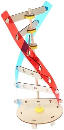 DIY DNA Double Helix Model Science Kit for Kids Students by FELTECHELECTR