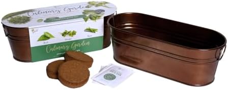 Buzzy Seeds Windowsill Herb Kit, Metal Planter, Basil Cilantro & Chives - Image 4