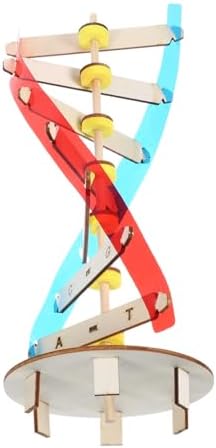 DNA Modeling Kit Double Helix Science Toy for Kids Students by COOLHIYA