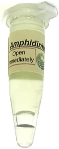Algae Research Supply Algae Culture Amphidinium Carterae, Perfect for School Science Fairs/Projects, Experiments & Classrooms (1.7mL) by Algae+Research+and+Supply