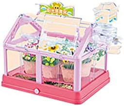 DIY Planting Sun Room Children's, Small Scientific Experiment of Vegetable Plant Observation in Sunshine Room Plant Observation House, and a Fun Lighting Toy Set (Color : Red) by Unknown