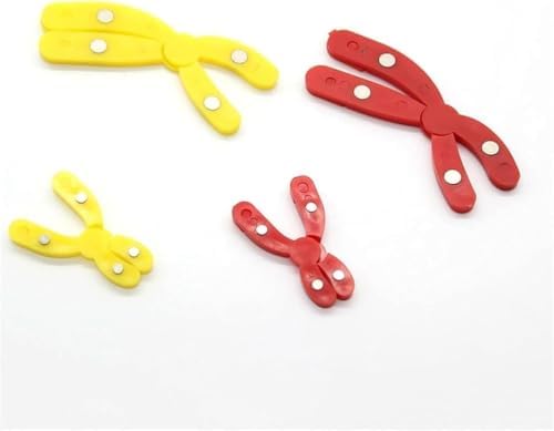 Magnetic Meiosis Chromosome Variation Model, Detachable Biological Teaching Kit for Junior High School Biology Class Demonstration - Image 2