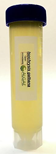 Algae Research Supply Algae Culture Isochrysis Galbana, Perfect for School Science Fairs/Projects, Experiments & Classrooms (50mL) by Algae+Research+and+Supply