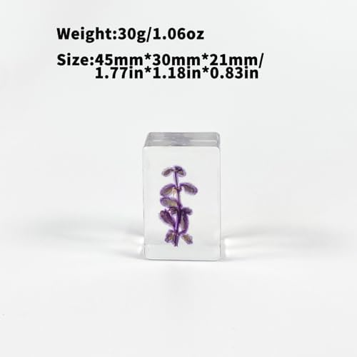 13pcs Ucubwfu Plant Specimen, Drip Resin Dried Flower Specimen, Real Flower Specimen for Microscope, Science Education Products for Kids - Image 2