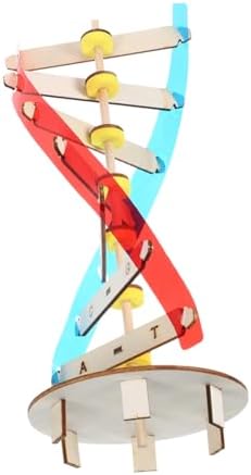 DIY DNA Double Helix Model Teaching Tool for Kids and Students by LALADEFIEE