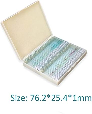 Biological Slides Microscope Slides for Kids Biology Lab Sample with Insect Plants Flower Microorganism for Homeschool Use Science Education-100 pcs - Image 2