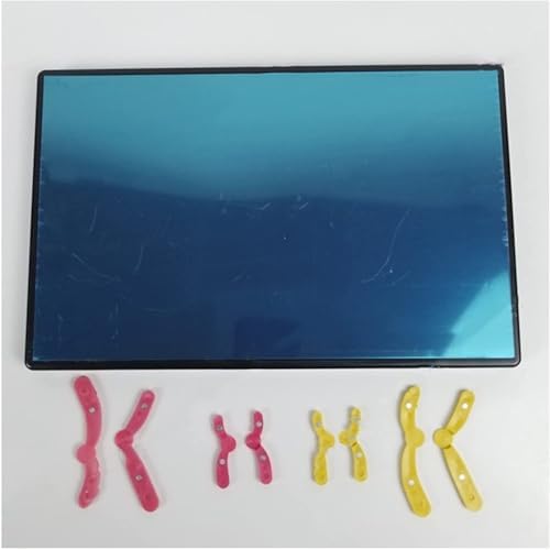 Animal And Plant Cells Mitosis Model, Chromosome Changes During Meiosis Model Component, Magnetic Animal And Plant Cell Anatomy Model, For Science Education Classroom Demonstration Tools. - Image 3