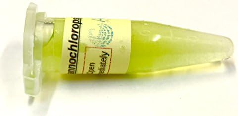Algae Research Supply Algae Culture Nannochloropsis Occulata, Perfect for School Science Fairs/Projects, Experiments & Classrooms (1.7mL) by Algae+Research+and+Supply