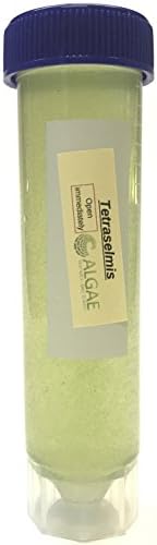 Algae Research Supply Algae Culture Tetraselmis Chuii, Perfect for School Science Fairs/Projects, Experiments & Classrooms (50mL) by Algae+Research+and+Supply