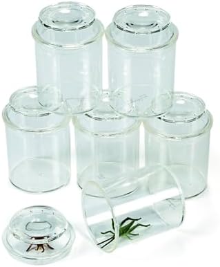 Clear Plastic See-Through Bug Jars - 3" (Pack of 10) - Ideal for Kids' Science Projects & Educational Activities by FunExpress