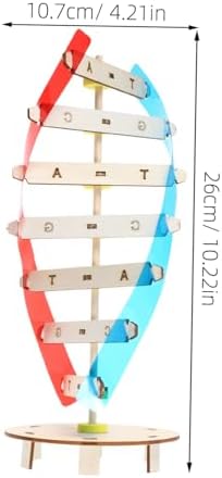 DIY DNA Double Helix Model Teaching Tool for Kids and Students - Image 2
