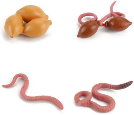 Montessori Animal Life Cycle Figurines by Unknown