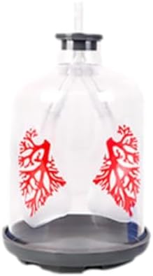 Lung Model Classroom Prop Breathing Simulator Physics Experiment Tool with Realistic Structure and Flexible Components Suitable for Student Science Ed, Clear by JISADER