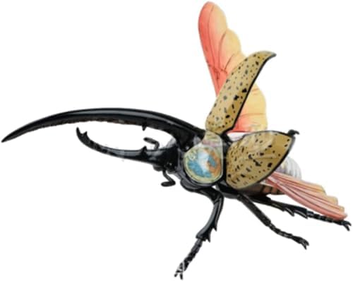 4D Beetle Anatomy Model, 22 Removerable Insect Anatomy Model Biology Teaching Models Insect Organ Model Puzzle Assembly Classroom Study for Teaching - Image 4