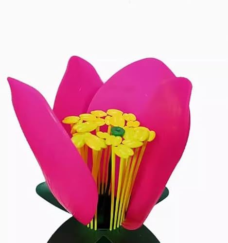 Classroom Ready Modular Peach Flower Structure Kits for Interactive Plant Biology Lessons and Experiments Biology Teaching for Students - Image 7