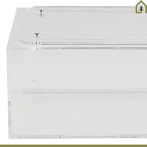 AntHouse - Natural Sand Ant Farm | Acrylic Big Starter Kit | Educative Ant Hill | 11.81 x 5.91 x 3.94 in - Image 4