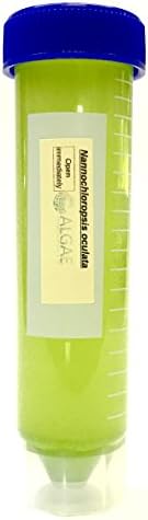 Algae Research Supply Algae Culture Nannochloropsis Occulata, Perfect for School Science Fairs/Projects, Experiments & Classrooms (50mL) by Algae+Research+and+Supply