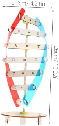 DNA Modeling Kit Double Helix Science Toy for Kids Students - Image 2