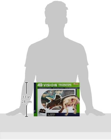 Famemaster 4D Vision Triceratops Anatomy Model - Image 4