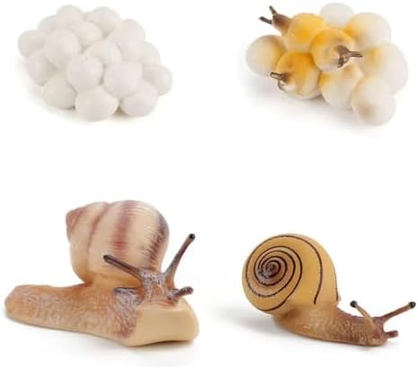 Montessori Animal Life Cycle Figurines by Unknown