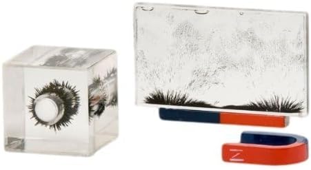 Sci-Supply Magnetic Lines of Force Demonstration Set – 3D Iron Filings Cube & Rectangular Magnetic Field Visualizers – Includes Bar & Horseshoe Magnets – Physics Classroom Kit - Image 2